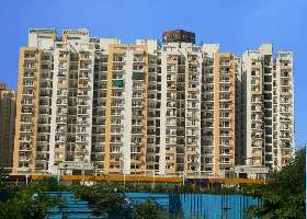 2 BHK Flat for Rent in Sector 16B Greater Noida West