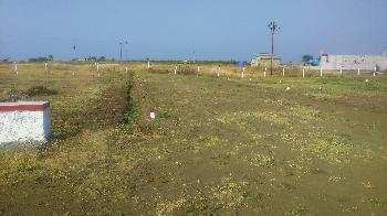  Residential Plot 909 Sq.ft. for Sale in Ballabhgarh, Faridabad