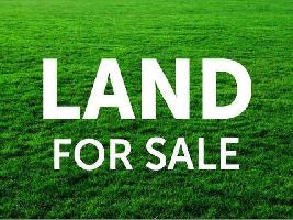  Agricultural Land for Sale in Chandra Colony, Bellary