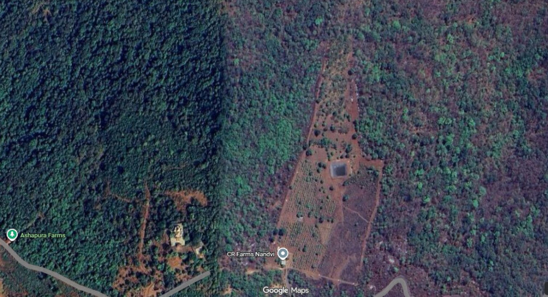  152 Acre Agricultural/Farm Land for Sale in Mangaon, Raigad