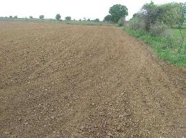  Agricultural Land for Sale in Kalupur, Ahmedabad