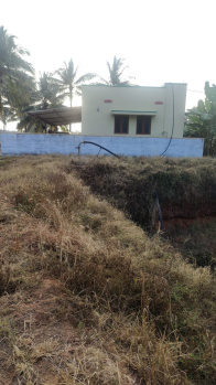  Agricultural Land for Sale in Pollachi, Coimbatore