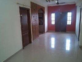 2 BHK Flat for Rent in DLF Chattarpur Farms