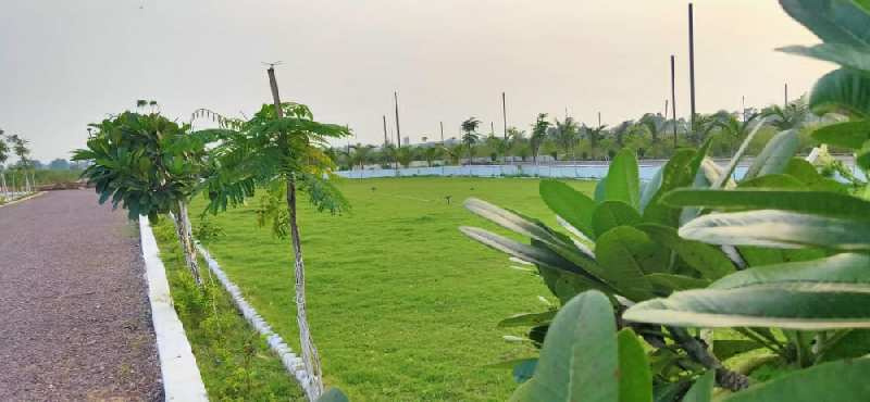  Residential Plot 1500 Sq.ft. for Sale in Abhanpur, Raipur