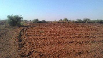 Agricultural Land for Sale in Astron, Rajkot