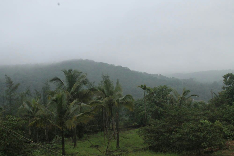  133 Guntha Residential Plot for Sale in Kolthare, Dapoli, Ratnagiri