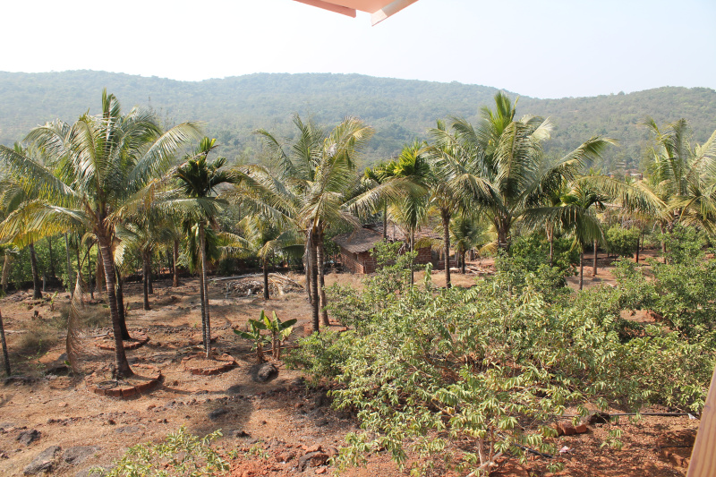  133 Guntha Residential Plot for Sale in Kolthare, Dapoli, Ratnagiri