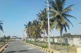  Residential Plot for Sale in Sarjapur, Bangalore