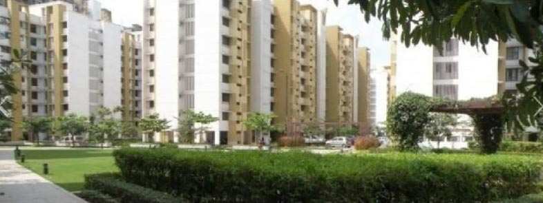 1 BHK Apartment 801 Sq.ft. for Sale in