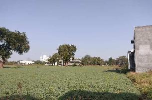  Agricultural Land for Sale in Savda, Jalgaon