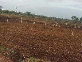  Agricultural Land for Rent in Shikrapur, Pune
