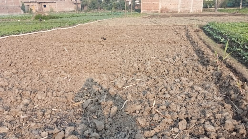  Residential Plot 2171 Sq.ft. for Sale in Basudevpur, Munger