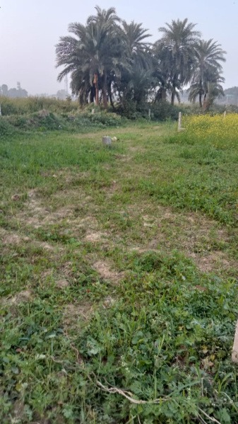  Residential Plot 5444 Sq.ft. for Sale in Nawagarhi, Munger