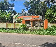  Residential Plot for Sale in Thengana, Kottayam