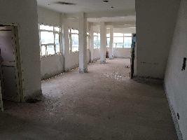  Showroom for Rent in Sector 70 Mohali