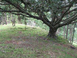  Commercial Land for Sale in Lansdowne, Pauri Garhwal