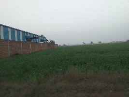  Industrial Land for Sale in Shambhoo Khurd, Rajpura