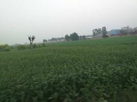  Industrial Land for Sale in Mirzapur, Mohali