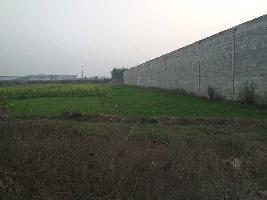  Industrial Land for Sale in Nilpur, Rajpura
