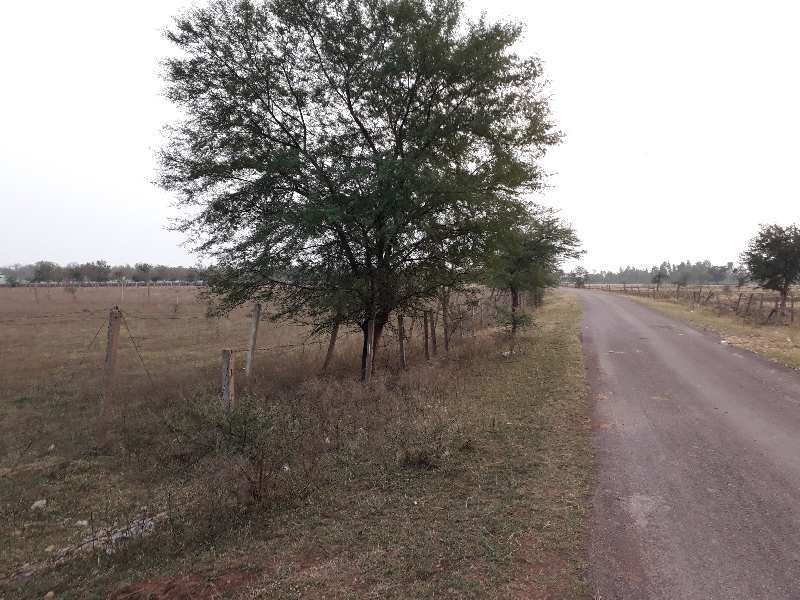 Agricultural Land 1 Acre for Sale in Dhamdha, Durg