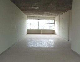  Commercial Shop for Sale in Sector 142 Noida