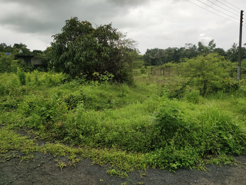  298 Sq.ft. Residential Plot for Sale in Dodamarg, Sindhudurg