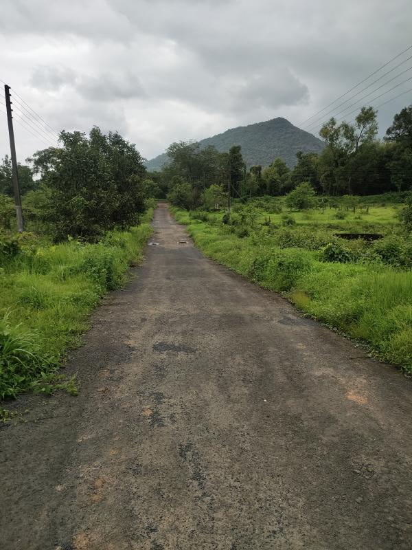  298 Sq.ft. Residential Plot for Sale in Dodamarg, Sindhudurg