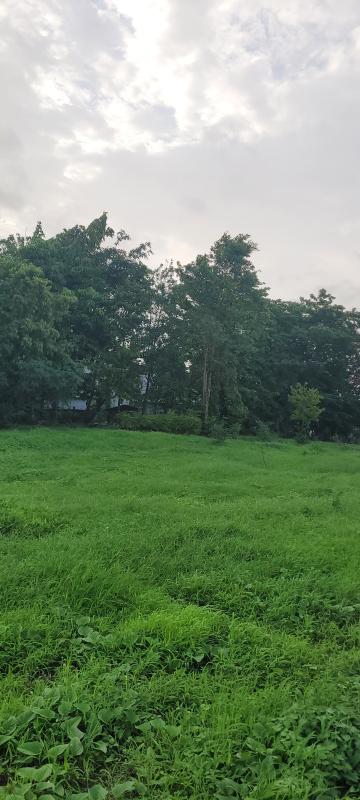  Industrial Land 5 Acre for Sale in Rakholi, Silvassa