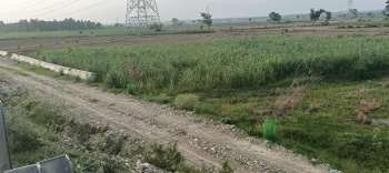  Residential Plot for Sale in Sabhawala, Dehradun