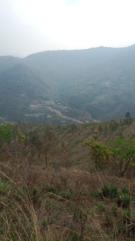  Residential Plot for Sale in Narendra, Tehri Garhwal