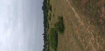  Agricultural Land for Sale in Barbaspur, Umaria