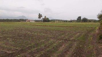  Residential Plot for Sale in Farrukhabad Road, Lucknow