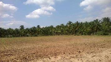  Agricultural Land for Sale in Faizabad Road, Lucknow