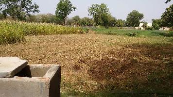  Agricultural Land for Rent in Girwa, Udaipur