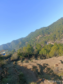  Commercial Land for Sale in Kandaghat, Solan