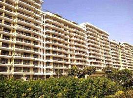 3 BHK Flat for Sale in TDI City Kundli, Sonipat