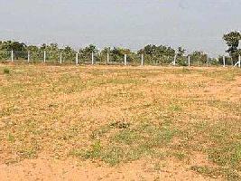  Residential Plot for Sale in Dholera, Ahmedabad