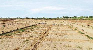  Residential Plot for Sale in Dholera, Ahmedabad