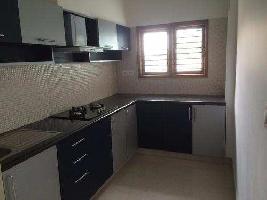 1 BHK Flat for Rent in Dahanukar Colony, Kothrud, Pune