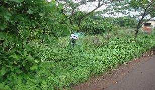  Residential Plot for Sale in Sancoale, South Goa