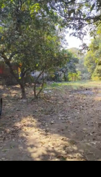  Agricultural Land for Sale in Chikhale, Navi Mumbai