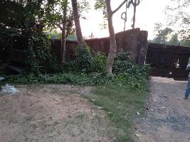 100 Bigha Agricultural Land for Sale in Singur, Hooghly