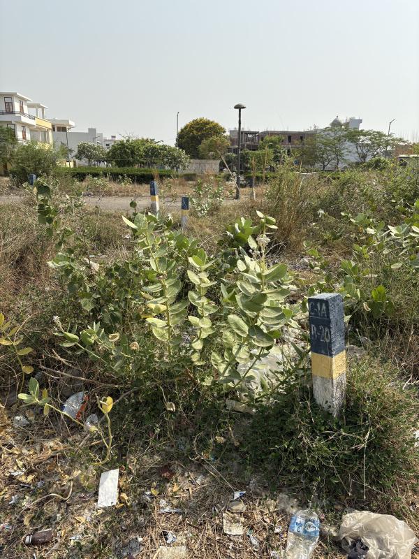  288 Sq.ft. Commercial Land for Sale in Purseni, Lucknow