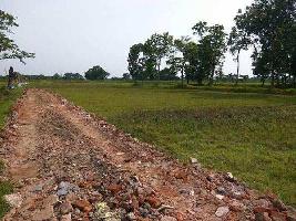  Residential Plot for Sale in Thakurpukur, Kolkata