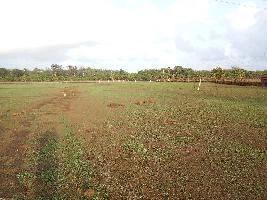  Agricultural Land for Rent in Rajapur, Ratnagiri