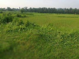 Agricultural Land for Sale in Padmanabham, Visakhapatnam