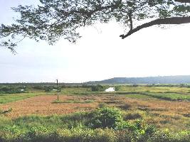 4 BHK Villa for Sale in Tiswadi, North Goa, 