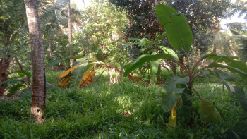  Residential Plot for Sale in Konam, Kanyakumari