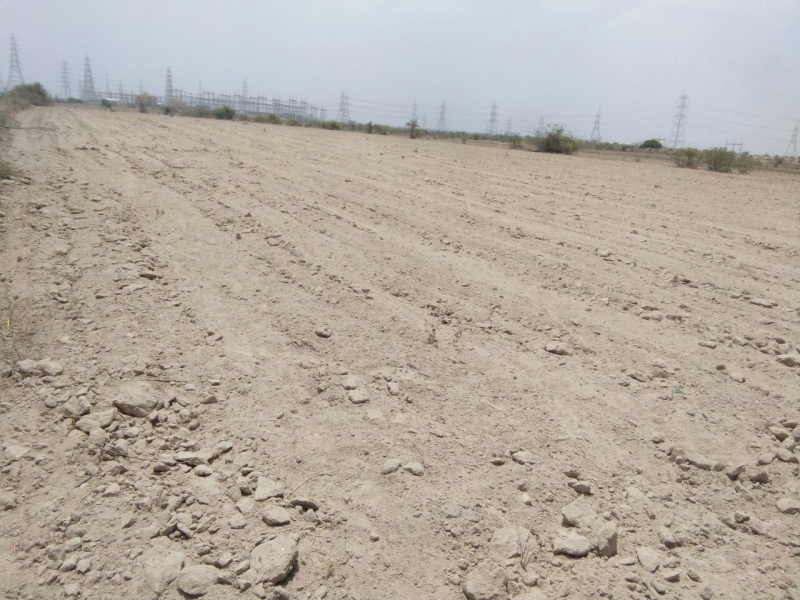  800 Bigha Industrial Land for Sale in Dholera, Ahmedabad