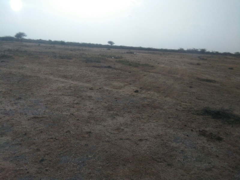 100 Bigha Industrial Land for Sale in Dholka, Ahmedabad
